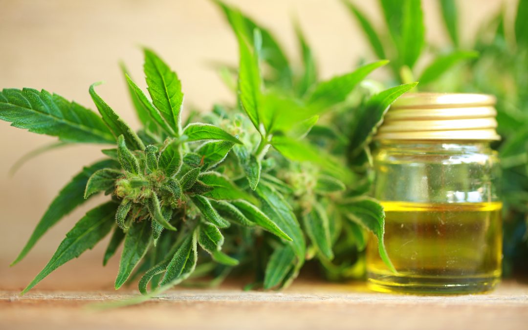 Why You Should Absolutely Care About CBD Now